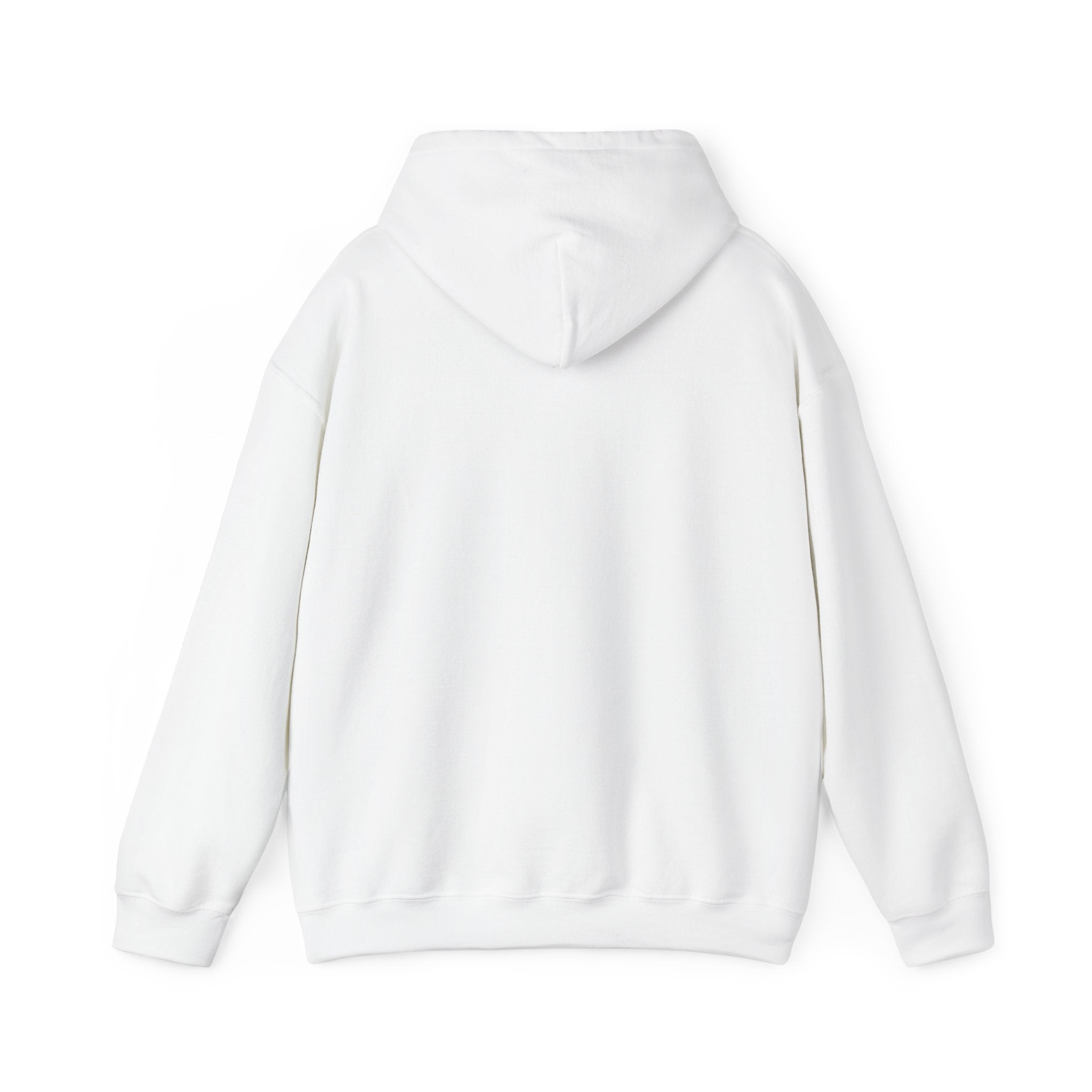 Hoodie -- Christian Theme -- Jesus Nativity