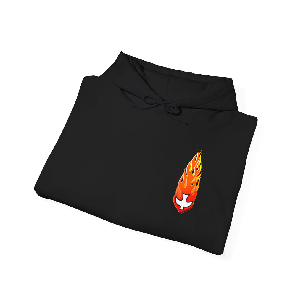 Hoodie, Hooded Sweatshirt -- Christian Theme -- Holy Spirit Dove, Flame