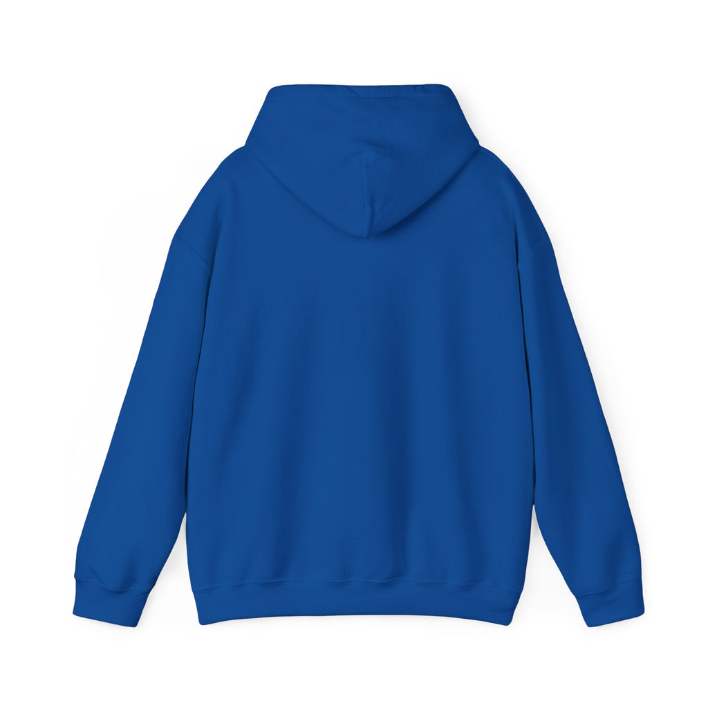 Hoodie -- Christian Theme -- Jesus Nativity