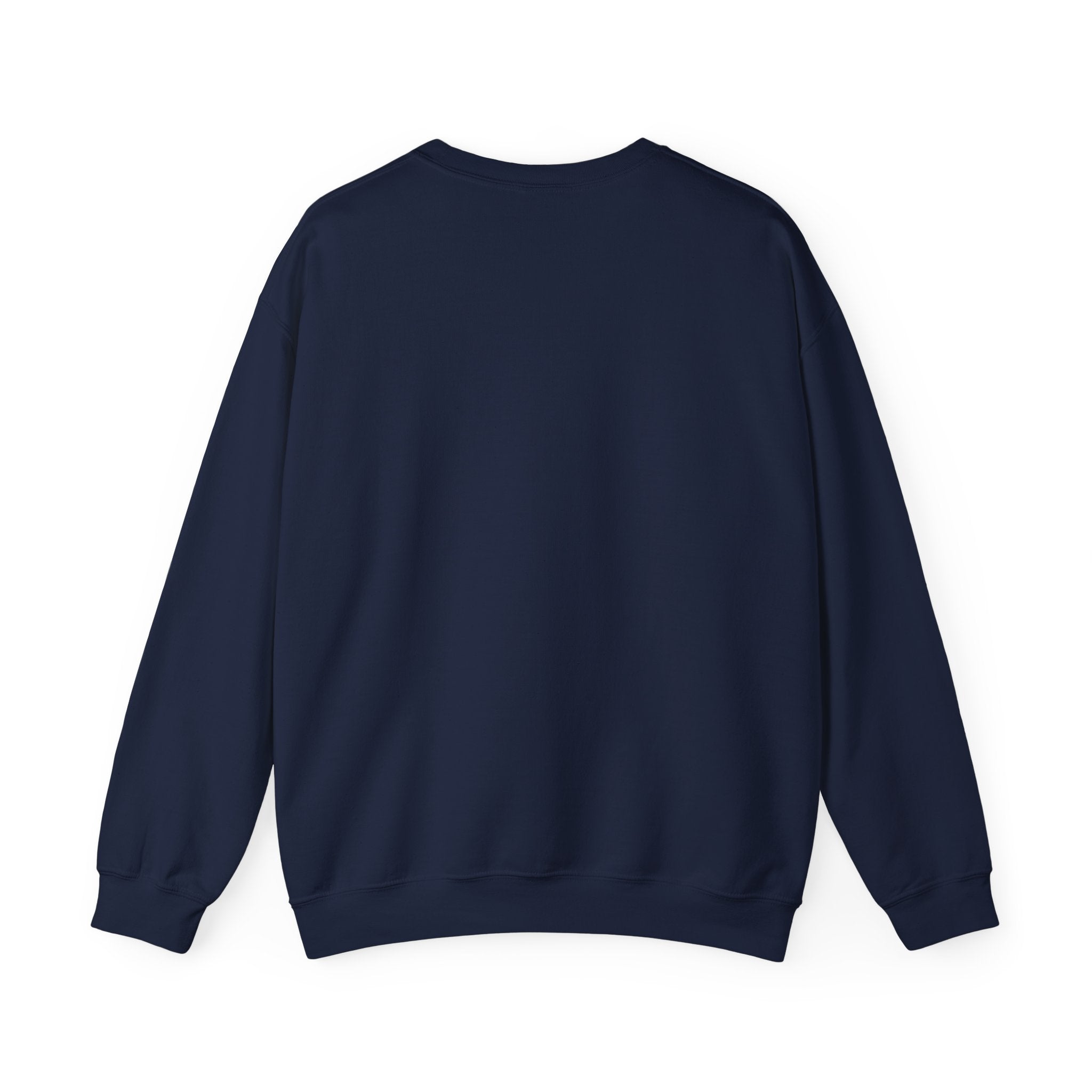 Crewneck Sweatshirt -- Christian Theme -- Jesus Nativity