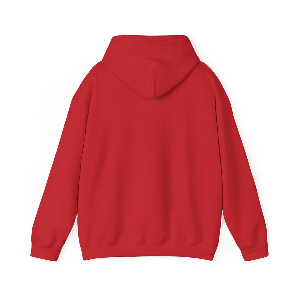 Hoodie -- Christian Theme -- Jesus Nativity