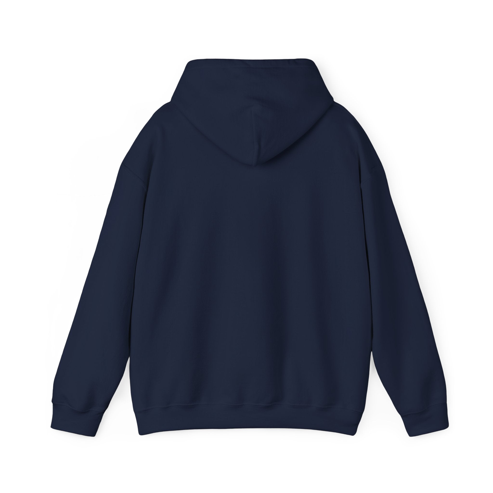 Hoodie -- Christian Theme -- Jesus Nativity