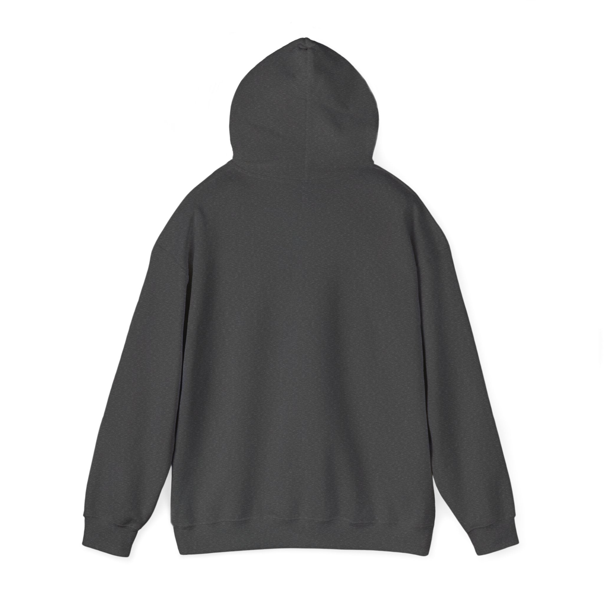 Hoodie -- Christian Theme -- Crown of Thorns (Light Red)