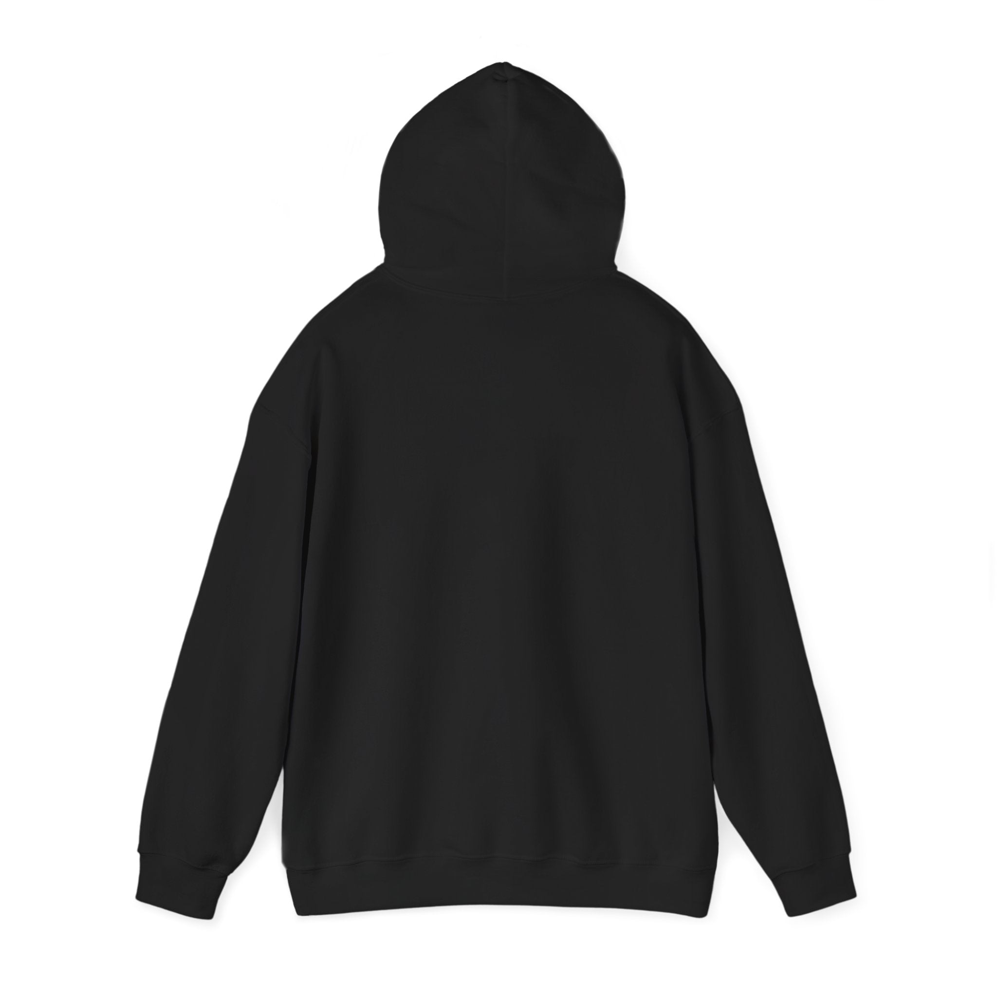 Hoodie -- Christian Theme -- Jesus Nativity