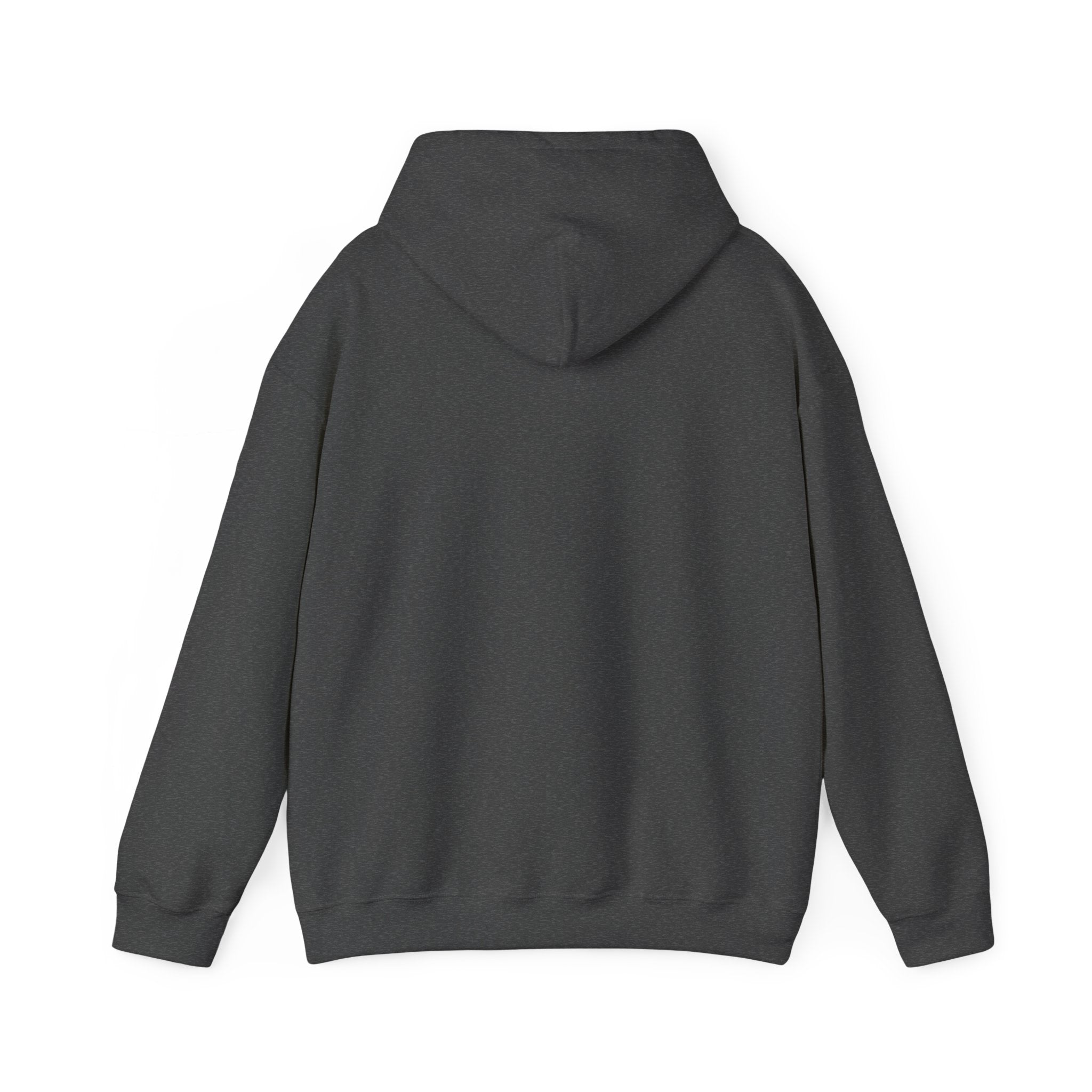 Hoodie -- Christian Theme -- Jesus Nativity