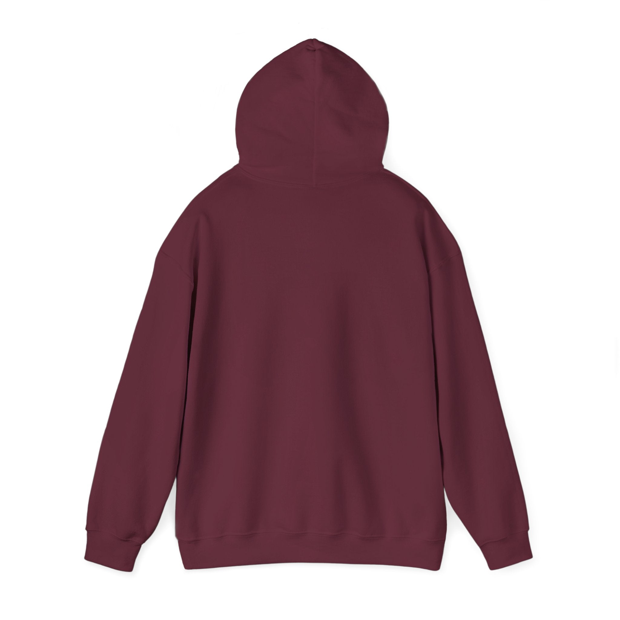 Hoodie -- Christian Theme -- Jesus Nativity