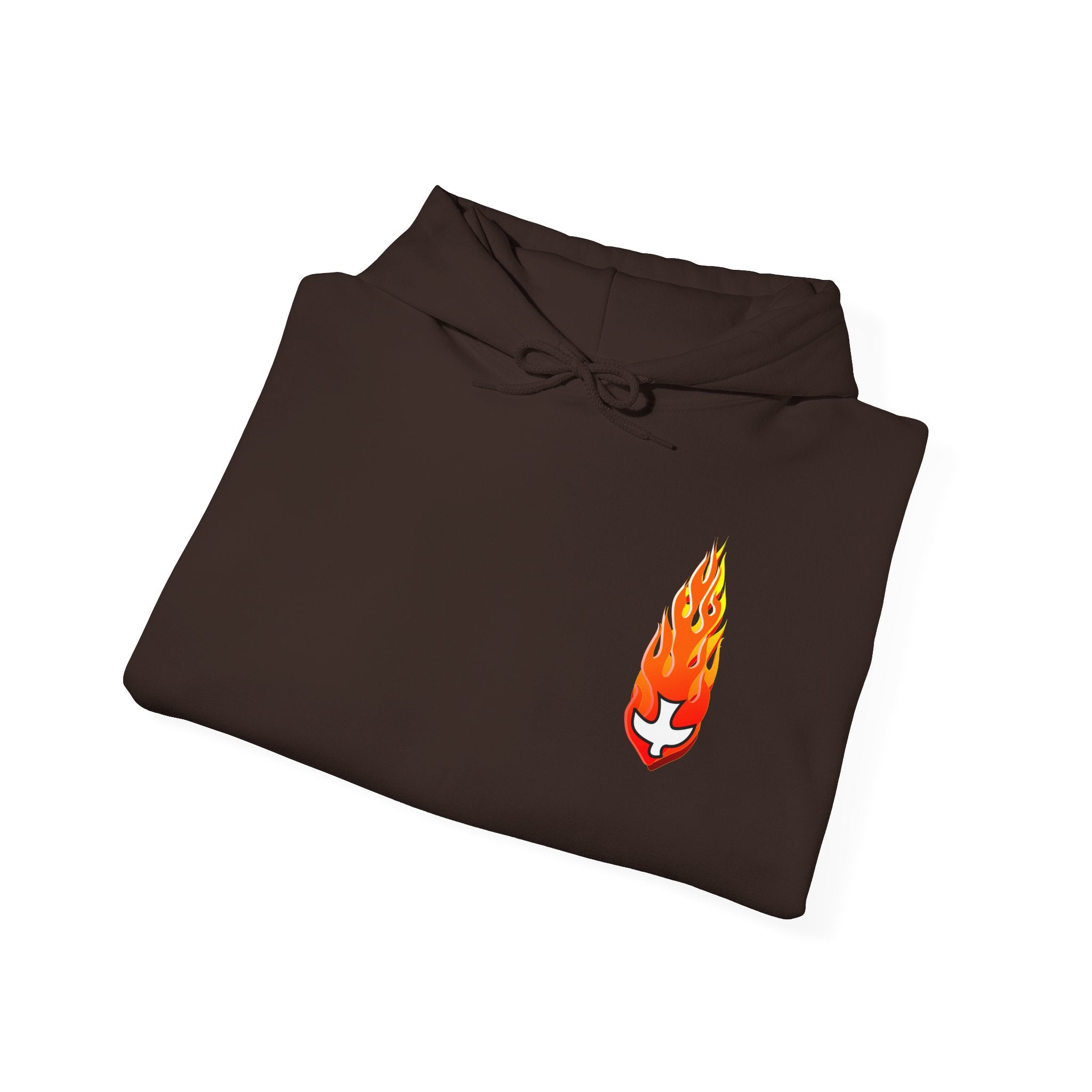 Hoodie, Hooded Sweatshirt -- Christian Theme -- Holy Spirit Dove, Flame