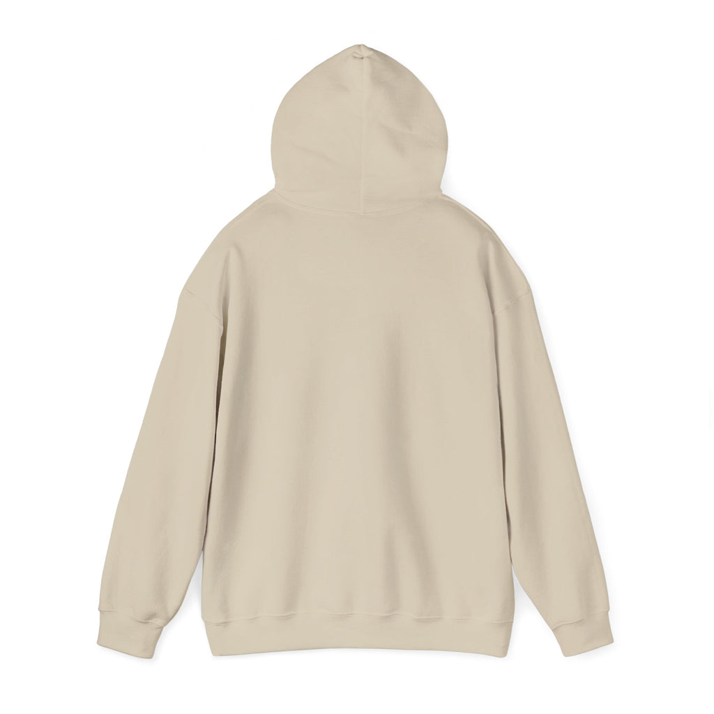 Hoodie, Hooded Sweatshirt -- Christian Theme -- Holy Spirit Dove, Flame
