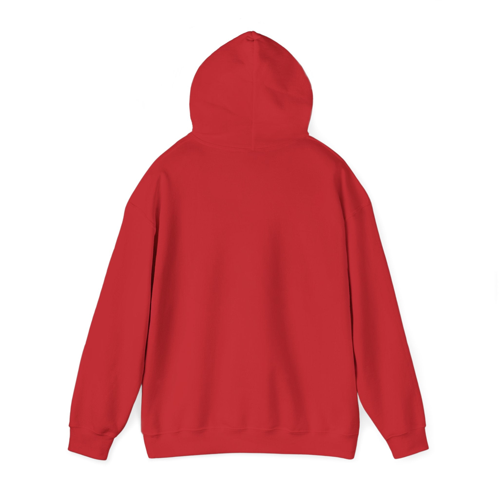 Hoodie, Hooded Sweatshirt -- Christian Theme -- Holy Spirit Dove, Flame