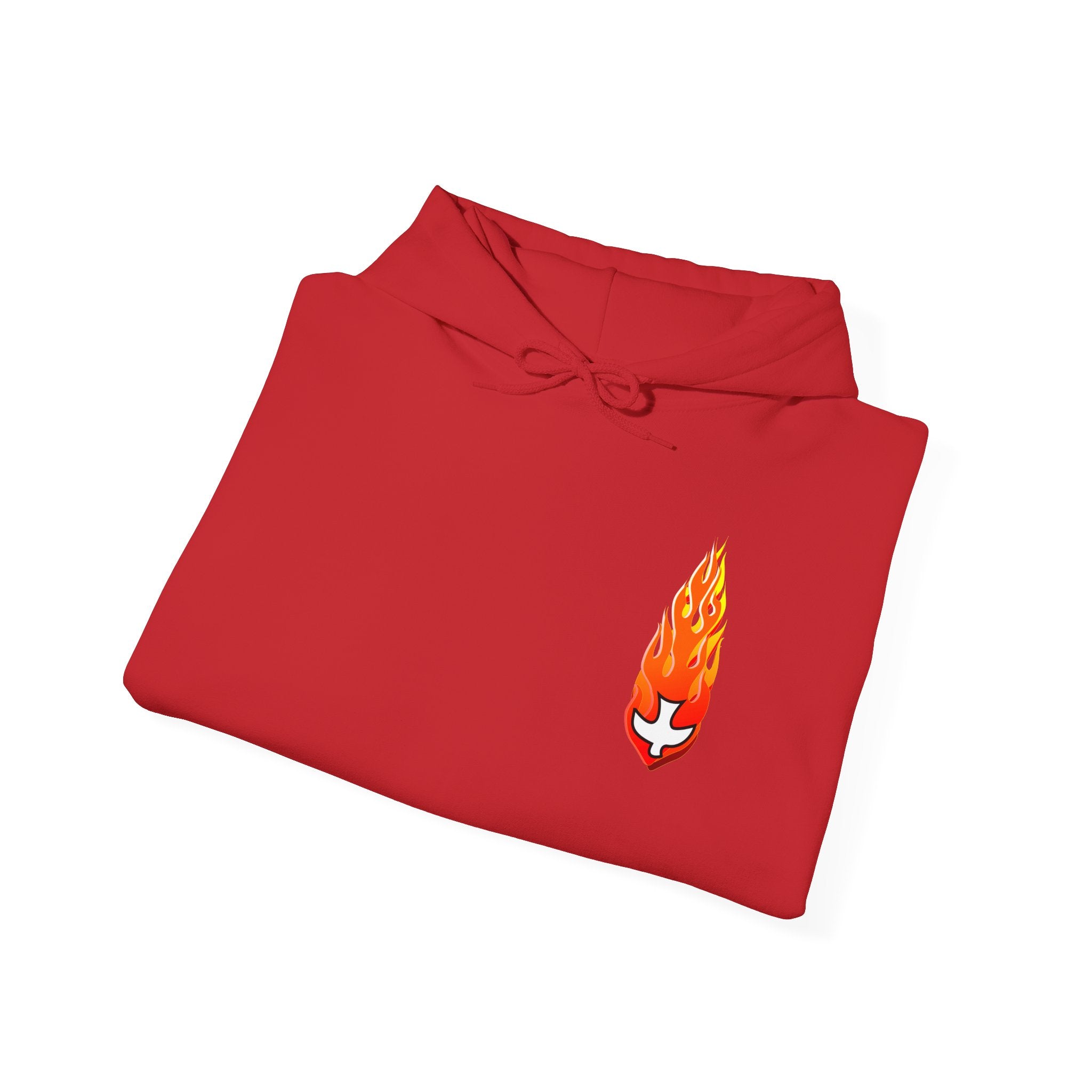 Hoodie, Hooded Sweatshirt -- Christian Theme -- Holy Spirit Dove, Flame