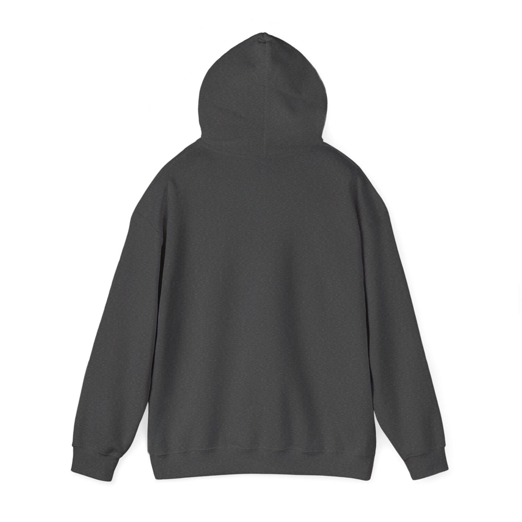 Hoodie -- Christian Theme -- Jesus Nativity