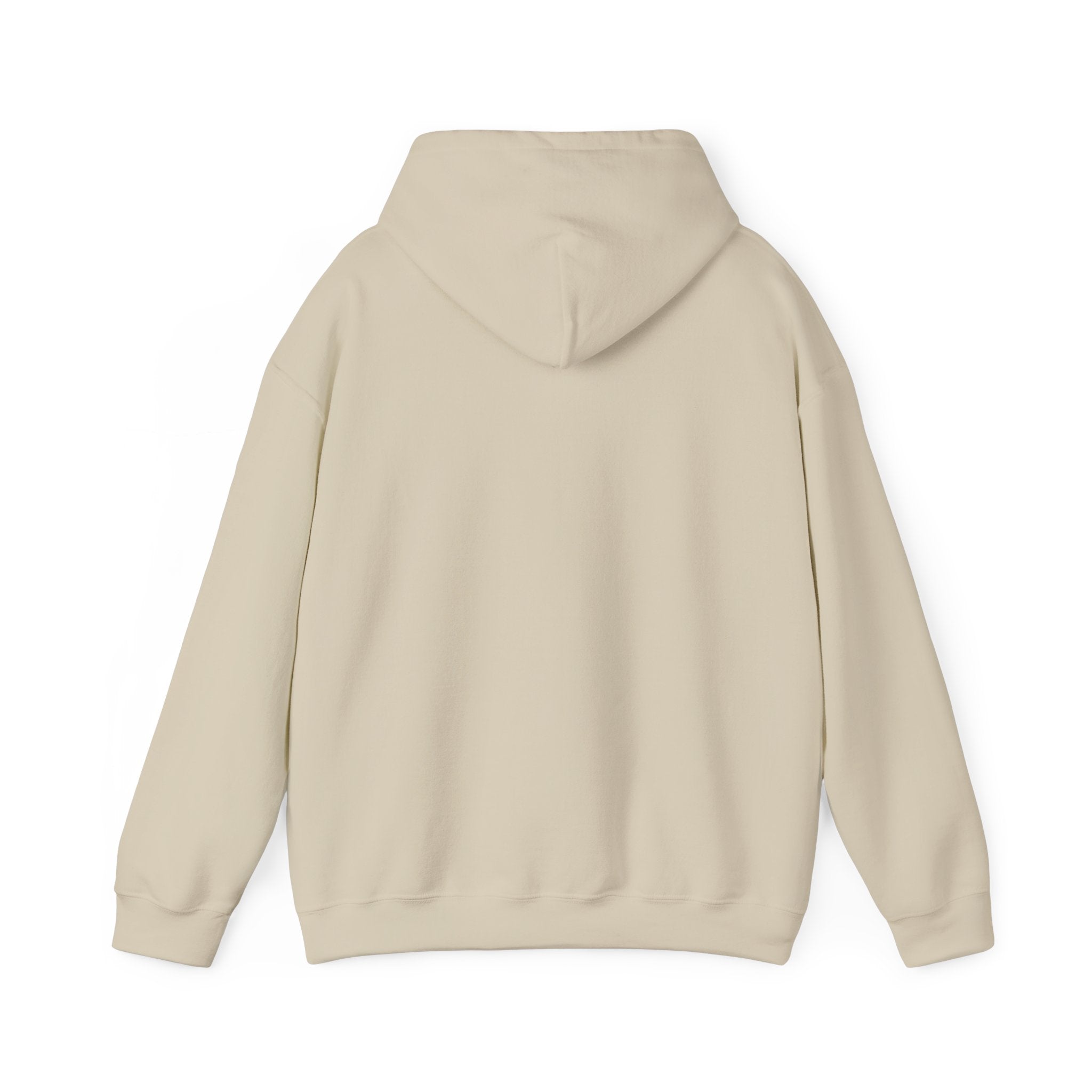 Hoodie -- Christian Theme -- Jesus Nativity