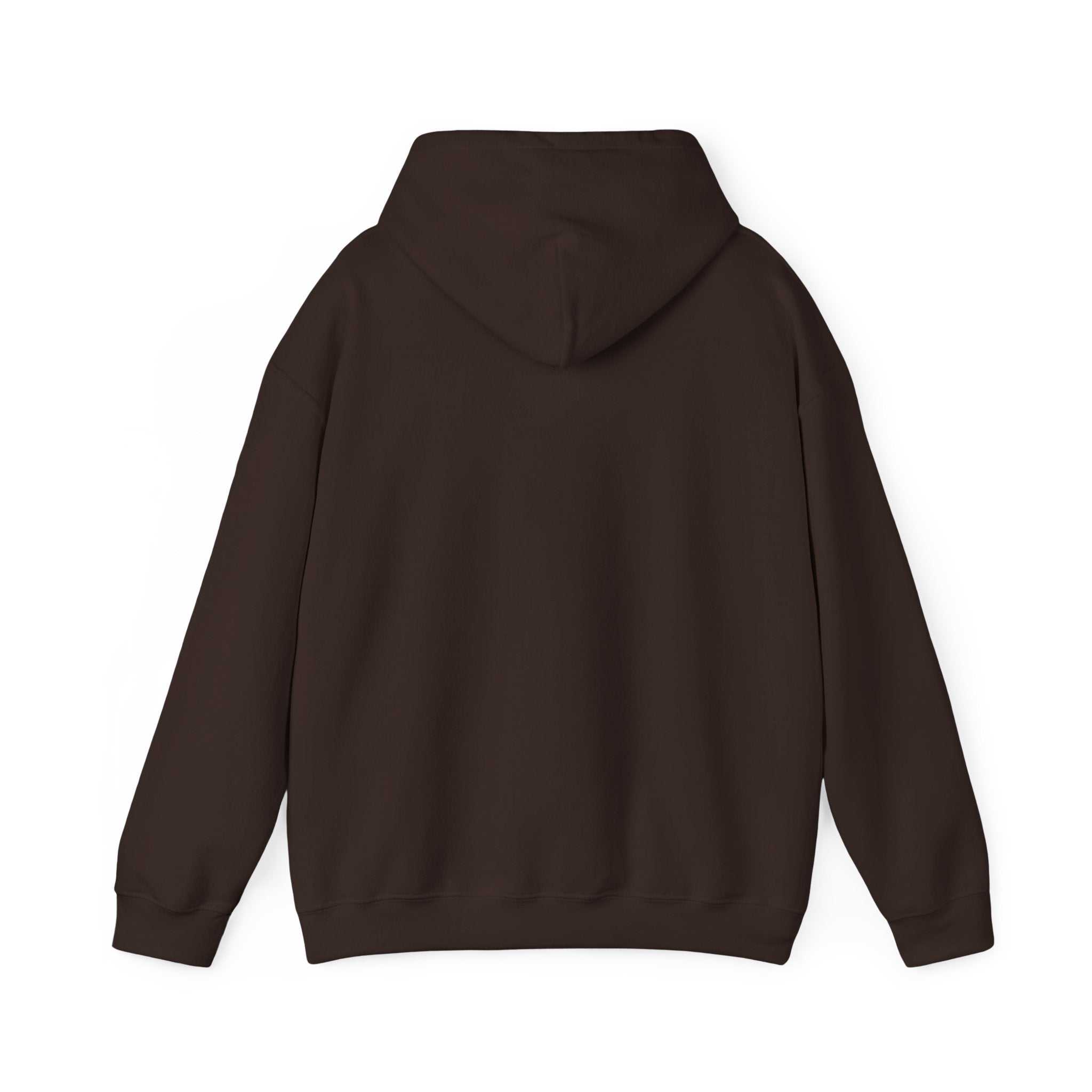 Hoodie -- Christian Theme -- Jesus Nativity