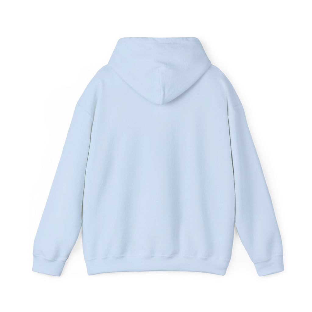 Hoodie, Hooded Sweatshirt -- Christian Theme -- Holy Spirit Dove, Flame
