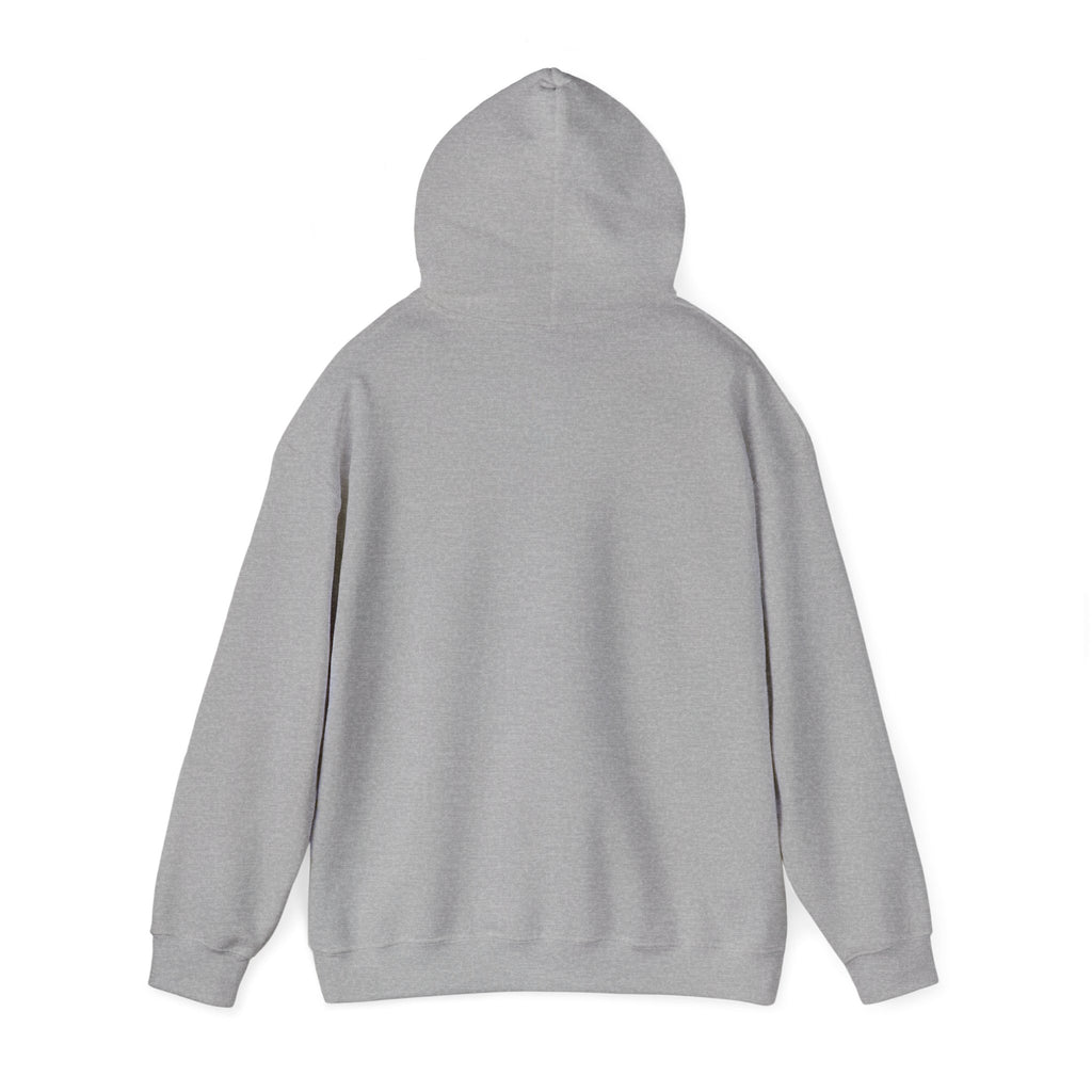 Hoodie, Hooded Sweatshirt -- Christian Theme -- Holy Spirit Dove, Flame