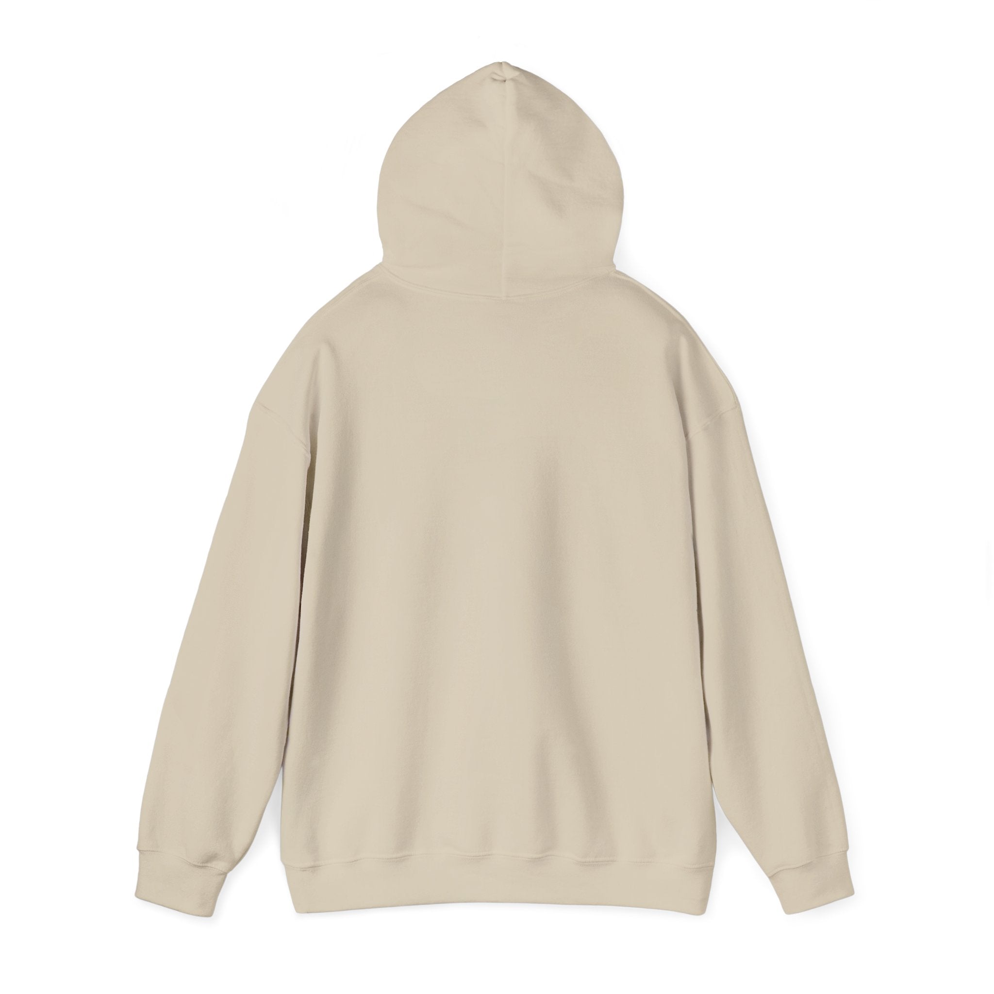 Hoodie -- Christian Theme -- Jesus Nativity