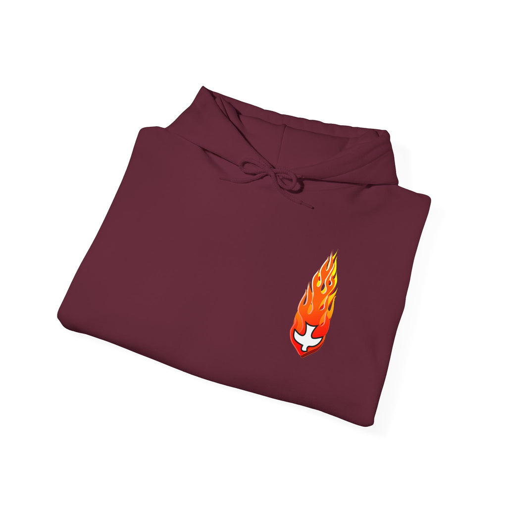 Hoodie, Hooded Sweatshirt -- Christian Theme -- Holy Spirit Dove, Flame