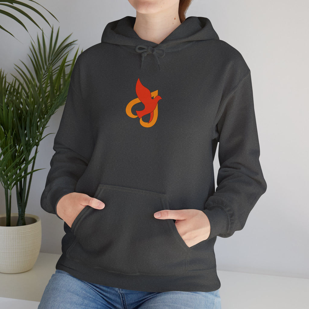 Hoodie -- Christian Theme -- Holy Spirit Dove Heart Flame