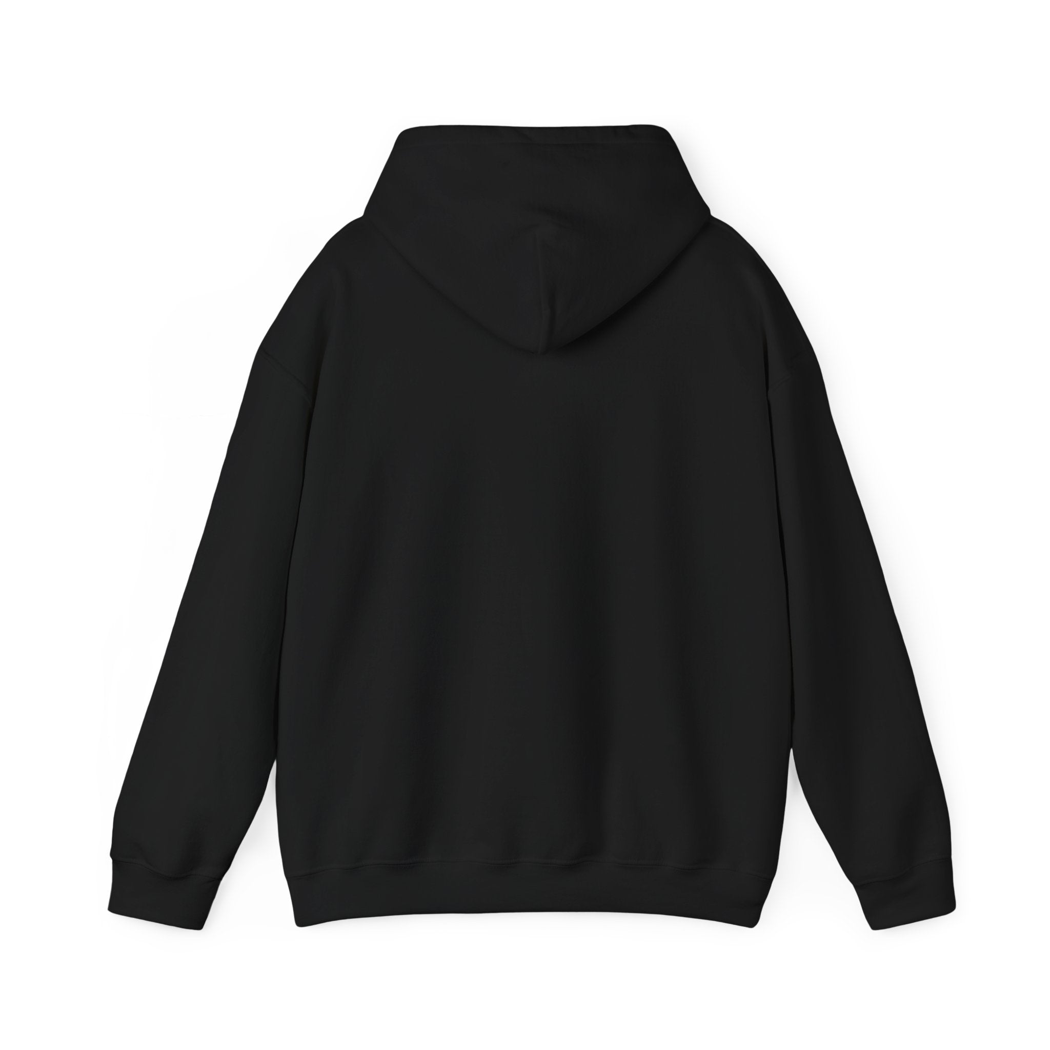 Hoodie, Hooded Sweatshirt -- Christian Theme -- Holy Spirit Dove, Flame