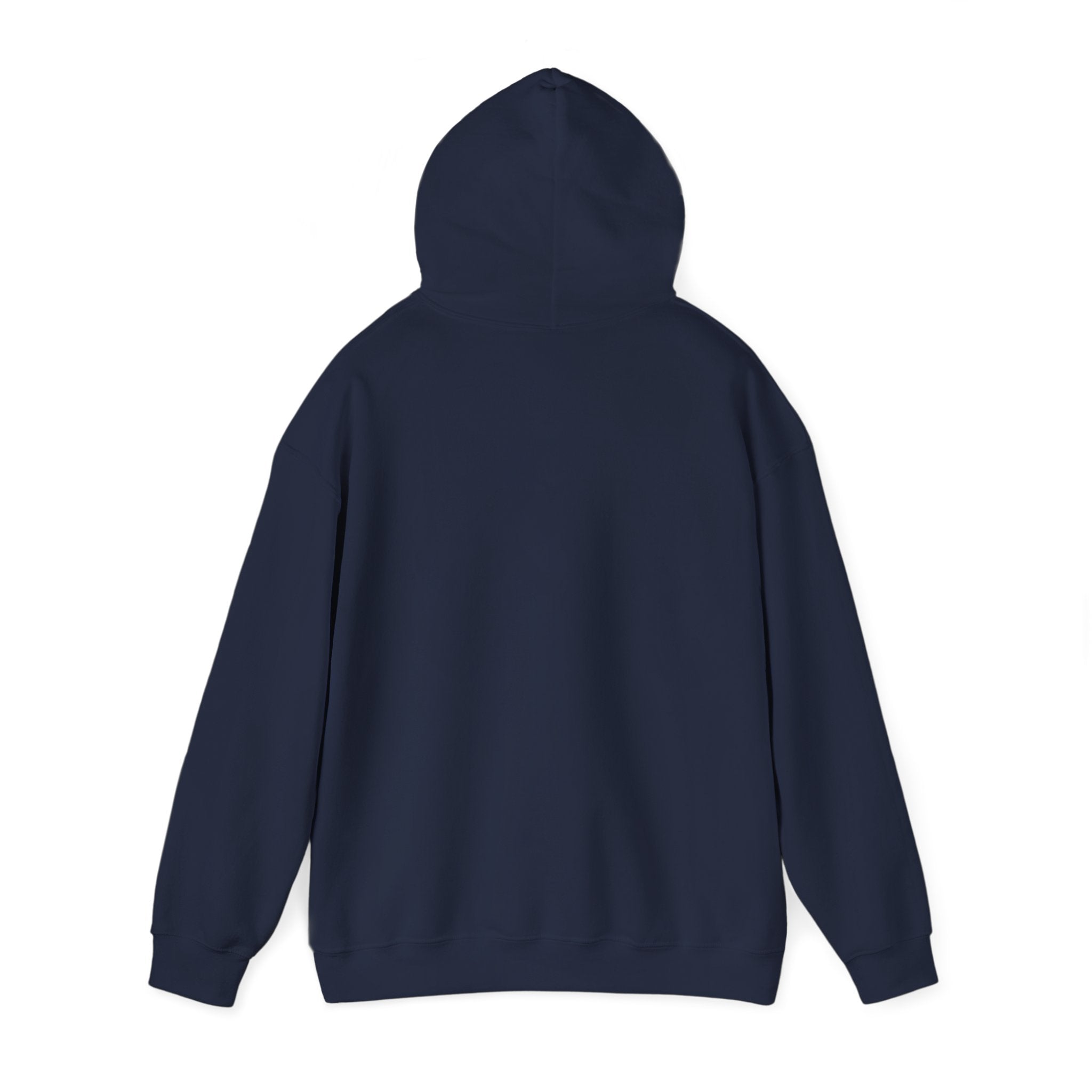 Hoodie -- Christian Theme -- Jesus Nativity