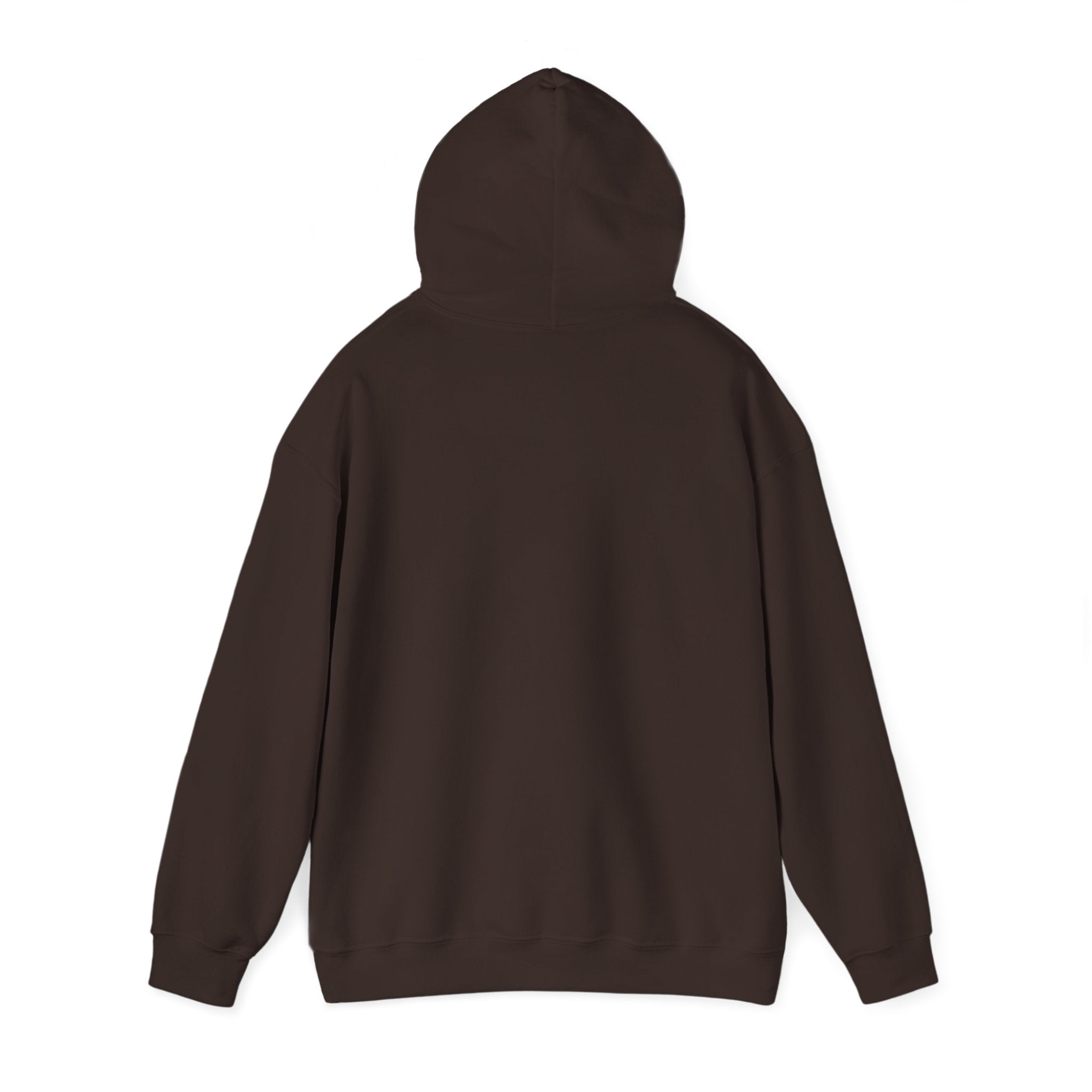 Hoodie, Hooded Sweatshirt -- Christian Theme -- Holy Spirit Dove, Flame