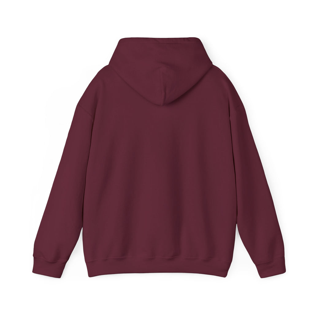 Hoodie, Hooded Sweatshirt -- Christian Theme -- Holy Spirit Dove, Flame